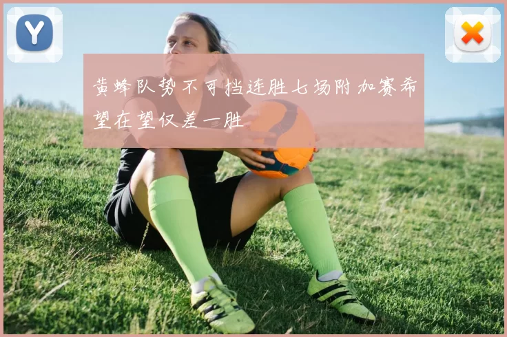 黄蜂队势不可挡连胜七场附加赛希望在望仅差一胜