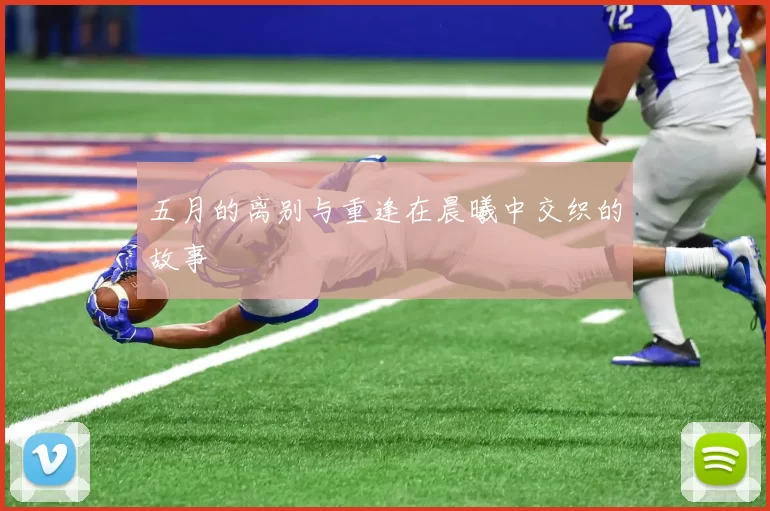 五月的离别与重逢在晨曦中交织的故事
