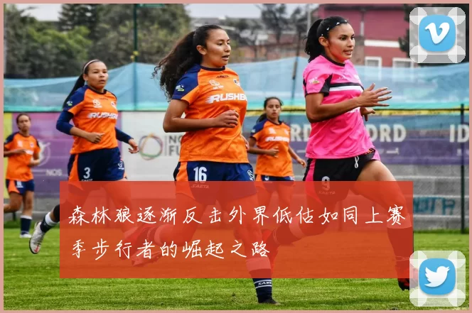 森林狼逐渐反击外界低估如同上赛季步行者的崛起之路